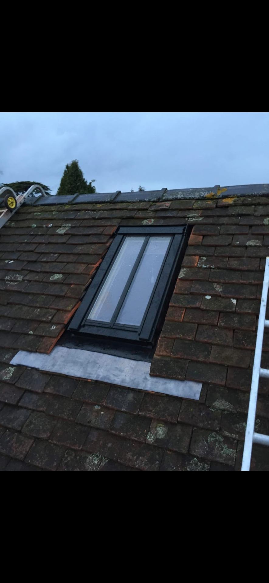 Velux & Roof Windows